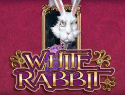 machines à sous white rabbit big time gaming